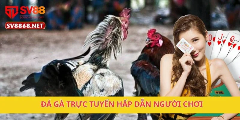 SV88 accommodating - Link Trang Chủ sv88.com mới 07/2025 6 Đá gà trực tuyến hấp dẫn người chơi